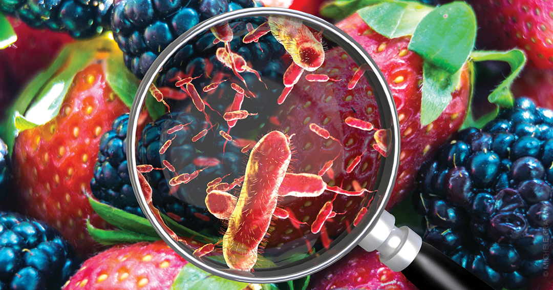 AFPJournal's tweet photo. FOODBORNE ILLNESS: Antibiotics are indicated for severe infection (especially extraintestinal). Campylobacter, nontyphoidal Salmonella, and Shigella are recognized by the CDC as multidrug-resistant pathogens and pose serious threats. Learn more: https://t.co/DxAkXrWCaI https://t.co/1c8y4yZOa6