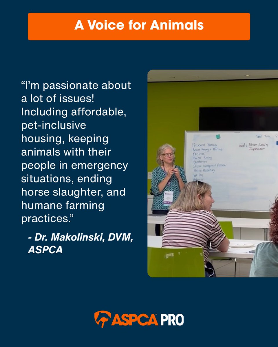 ASPCAPro's tweet photo. Members of the ASPCA Veterinary Engagement Team (VET) use their expertise to help shape animal welfare policy. Check out Dr. Makolinski's experience and how she advocates for animals. Working together, we save more lives. That is #TheRescueEffect. https://t.co/IrsWjPkXcn https://t.co/sU3LNFwQ59