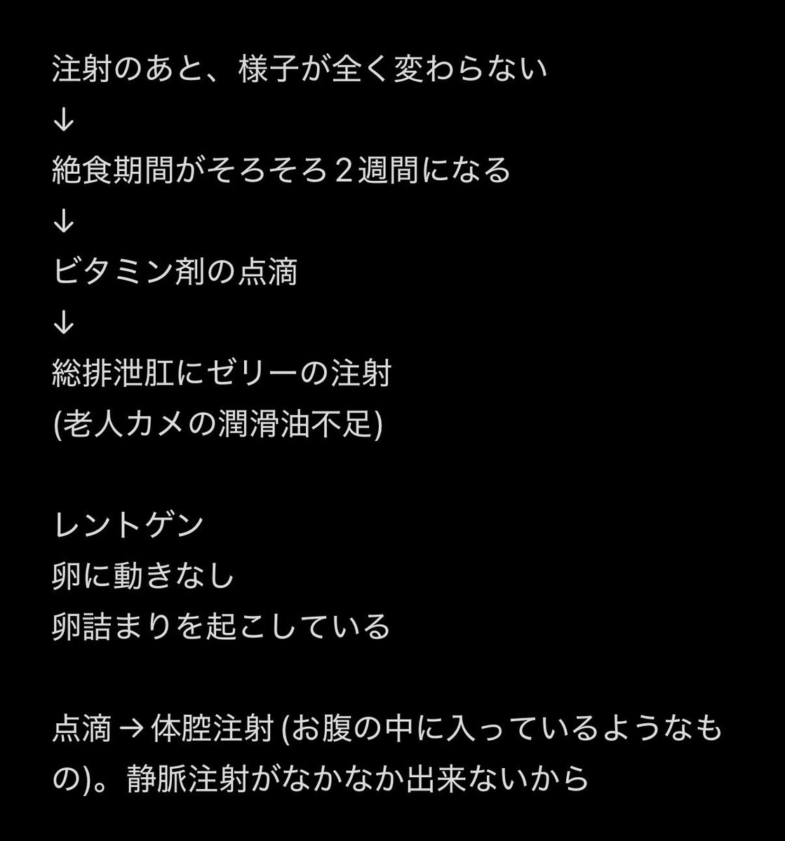 KtoToko's tweet photo. 再度レントゲンを撮って注射後も卵に動きがない事がわかった。

その絶望感の中初めての点滴と亀の浣腸のシュールさにどんな顔をしていいか全くわからず状況のメモだけしてた。

今はとても気持ち良さそうに寝ているけどたまにお腹を下さい時の音が響く。ちょっと面白い。

#withトコ #クサガメ https://t.co/s3k6wB1iyG