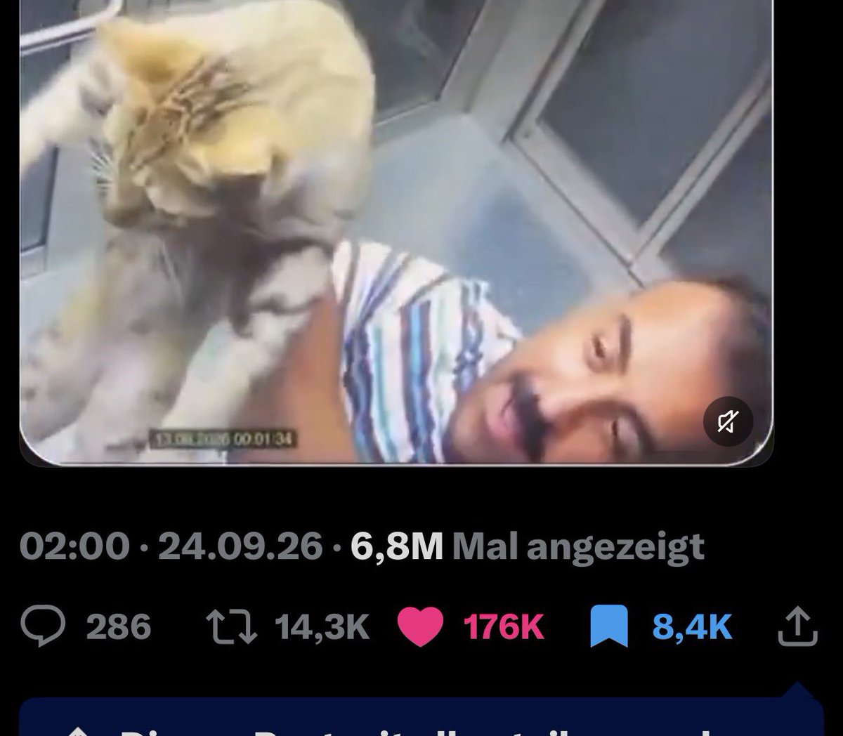 pscldev_pf's tweet photo. 7M VIEWS IN 18 HOURS????
ANOTHER TURKY CAT MEME „ ELEVATOR CAT „

WE HAVENT MADE A SINLGE COIN OF HER..

BULLISH ON THIS!! https://t.co/ILQx2hTFZg