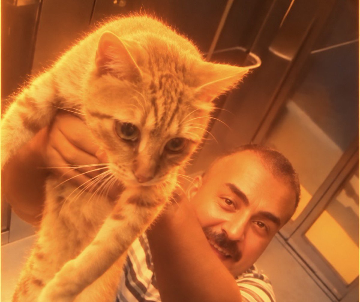 pscldev_pf's tweet photo. 7M VIEWS IN 18 HOURS????
ANOTHER TURKY CAT MEME „ ELEVATOR CAT „

WE HAVENT MADE A SINLGE COIN OF HER..

BULLISH ON THIS!! https://t.co/ILQx2hTFZg