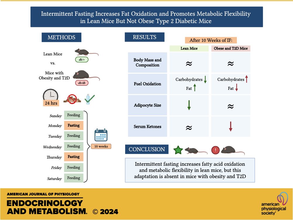 AJPEndoMetab's tweet photo. Take a moment to review today's Short Report spotlight paper, Intermittent fasting increases fat #oxidation and promotes metabolic flexibility in lean mice but not #obese type 2 #diabetic mice (Meghan Conn et al. @McMasterU):

https://t.co/5iDyGqVvAL https://t.co/OxgOpBZ1Lh