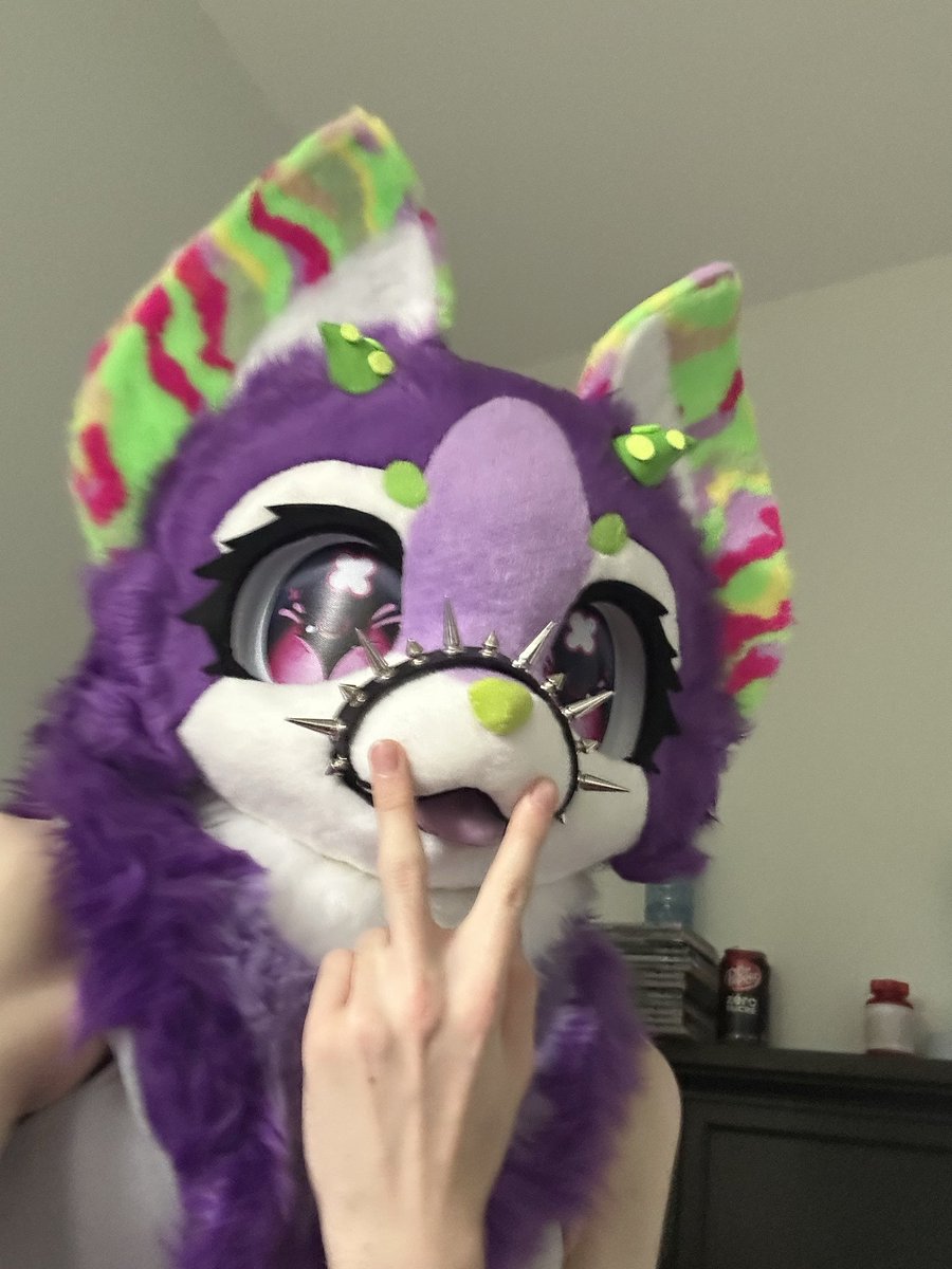 SkullDogFemBoi's tweet photo. Hey cuties 🥰💜🖕 https://t.co/7ctej6gY6z