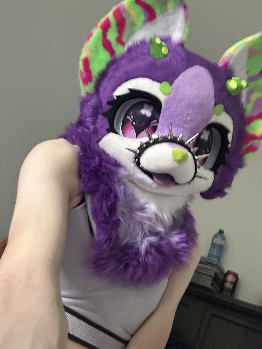 SkullDogFemBoi's tweet photo. Hey cuties 🥰💜🖕 https://t.co/7ctej6gY6z