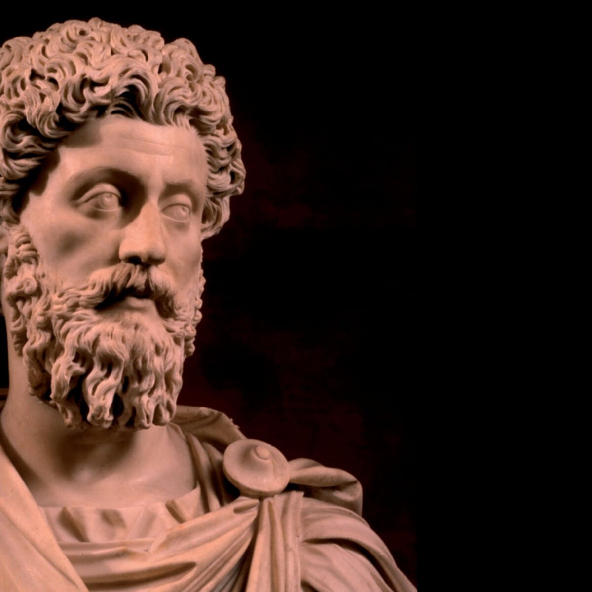 RomaricNazon's tweet photo. « L’homme ordinaire est exigeant avec les autres. L’homme exceptionnel est exigeant avec lui-même. »

​➡️ 🖊 Marc Aurèle (121-180), empereur romain et philosophe stoïcien 📜. https://t.co/LegXCJA87x