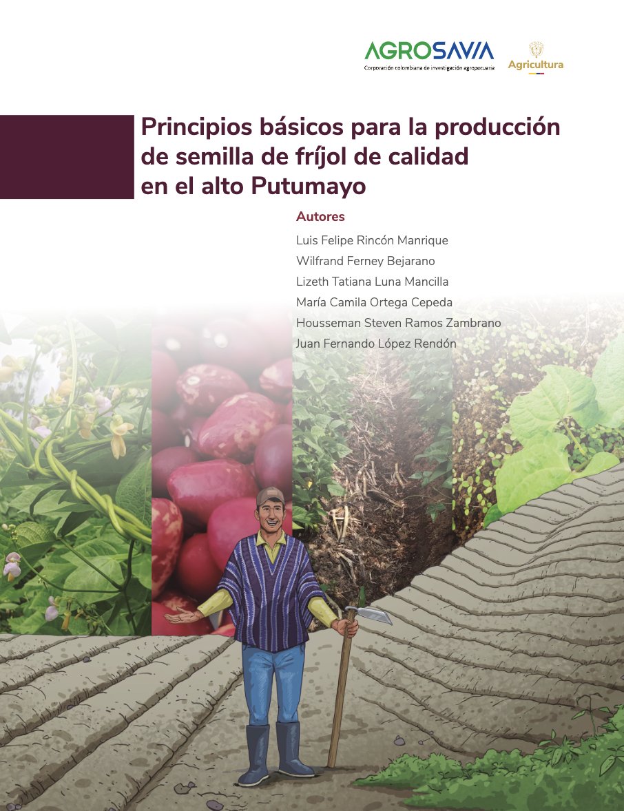 SomosAGROSAVIA's tweet photo. 📚🌱 #EditorialAGROSAVIA | Una buena cosecha comienza con una semilla de calidad. Conoce los principios básicos para producir semilla de fríjol de calidad en el Alto Putumayo. 🫘🌾 👉 https://t.co/aoTBGI3J9S ¿Qué característica destacarías? 👇 https://t.co/NwoB84NM0W