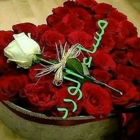AbdoRajaa's tweet photo. https://t.co/jl7a2wgaTi