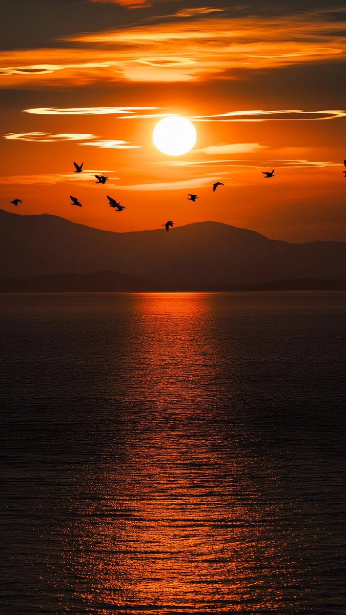 D0RaY4K's tweet photo. Just caught the sunset painting the sky soft pink, suddenly the tiredness from this busy week melted away like ice in sunlight. What a tiny but warm moment to hold onto. https://t.co/lwCLnTS1ek