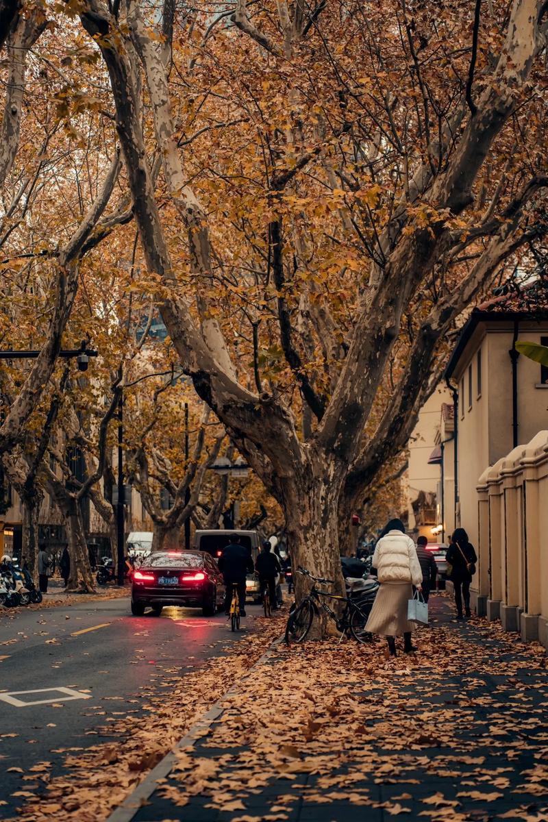 NenaBakelegp's tweet photo. Just got lost in a lo-fi playlist while walking in the city—every street sound merged with the beat, making the ordinary feel like a cozy music video. Turn up your headphones! https://t.co/dcqbaEIk1R