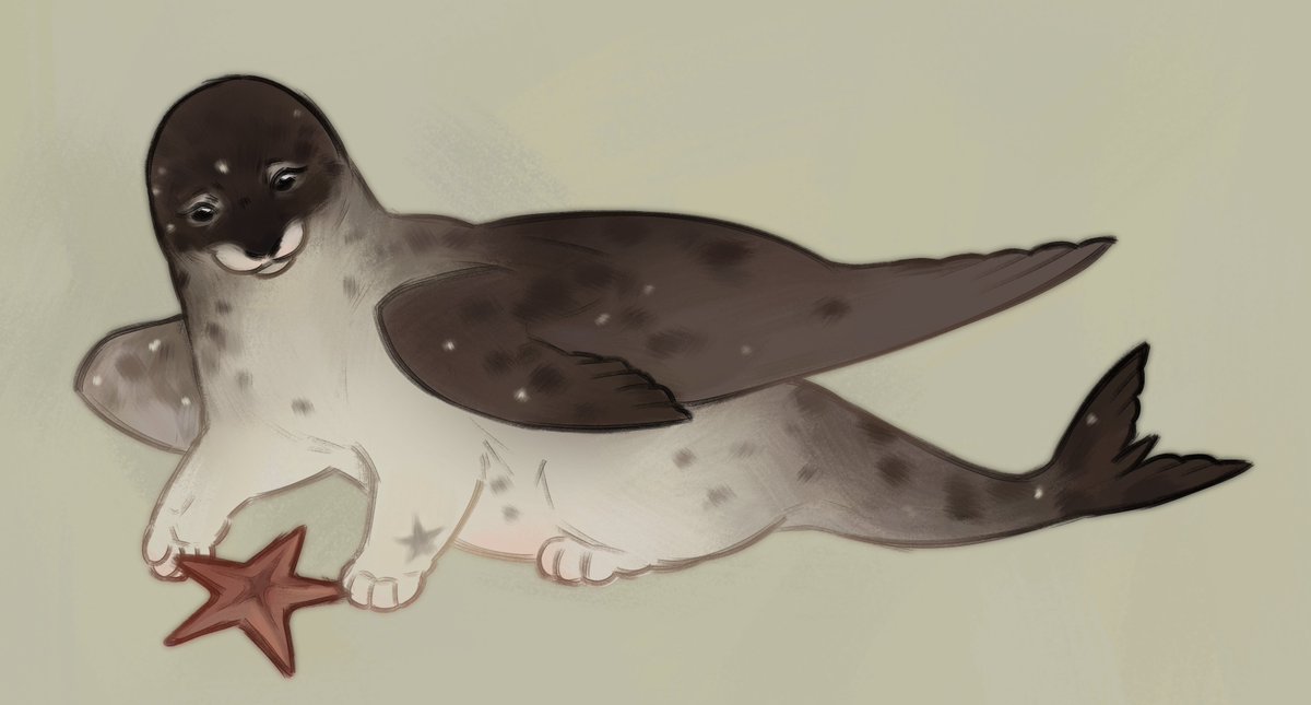 BuckeeraArt's tweet photo. seal dragon commissions :3 https://t.co/zqxo6OHxzs