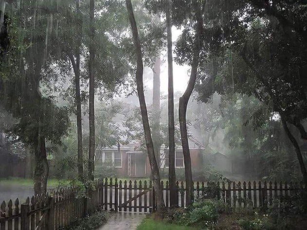 spooky_nature's tweet photo. nothing feels better than this ⛈️ https://t.co/hrwMB6iGGG