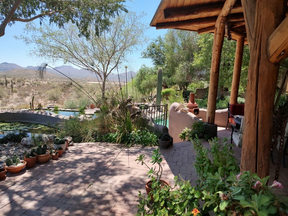 Luna71768's tweet photo. Found my own little desert oasis. Hanging out here with the breeze, the cacti, and endless views.Days like this make you forget all the noise. ❤️#DesertVibes #TravelGram #Tranquility https://t.co/C6XeHKbDcK