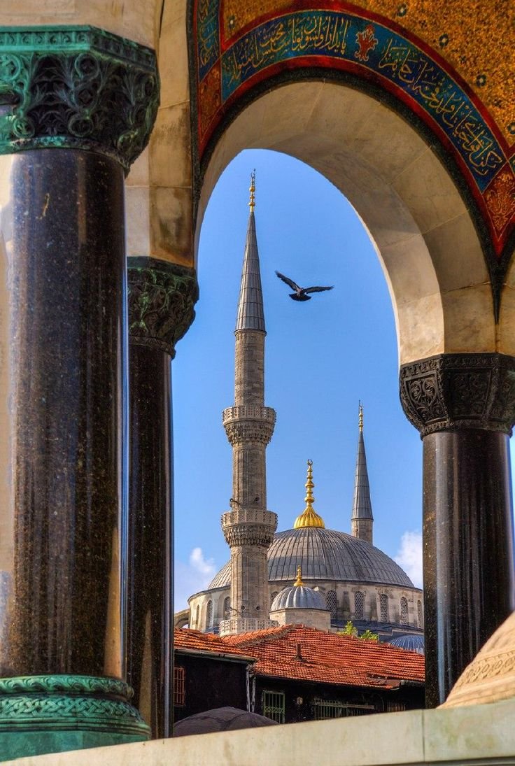 Aisezisan's tweet photo. Cuma Gecesi duâsı;

Allâh'ım Bu Duâ'ya Amin yazan herkese; "İnşallah olur" diye duâ edip hayalini kurduğu her şeyin "Çok şükür oldu" sevincini yaşat. https://t.co/ezTGQYCwzb