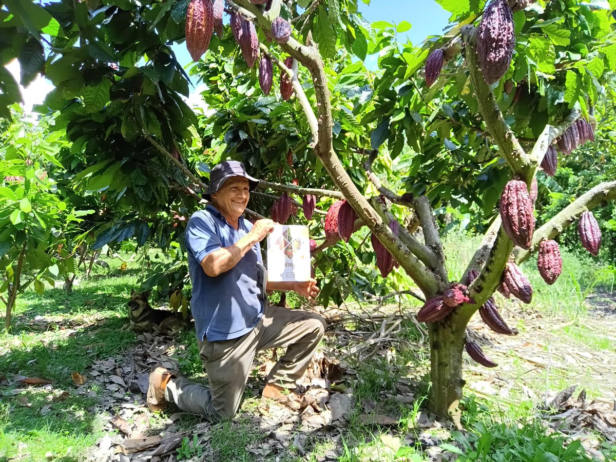 fedecacao's tweet photo. #CacaocultorDelMes Flaminio Castañeda y su esposa, 👨‍🌾👩‍🌾 en Colombia, Huila, 📌 cruzan el río El Venado en garrucha para cultivar cacao. 🏞️🚡 Con el apoyo de Fedecacao - Fondo Nacional del Cacao, aplican el paquete tecnológico y mejoran la productividad del cultivo. 📈 #Fedecacao https://t.co/5K7sZIfCcP