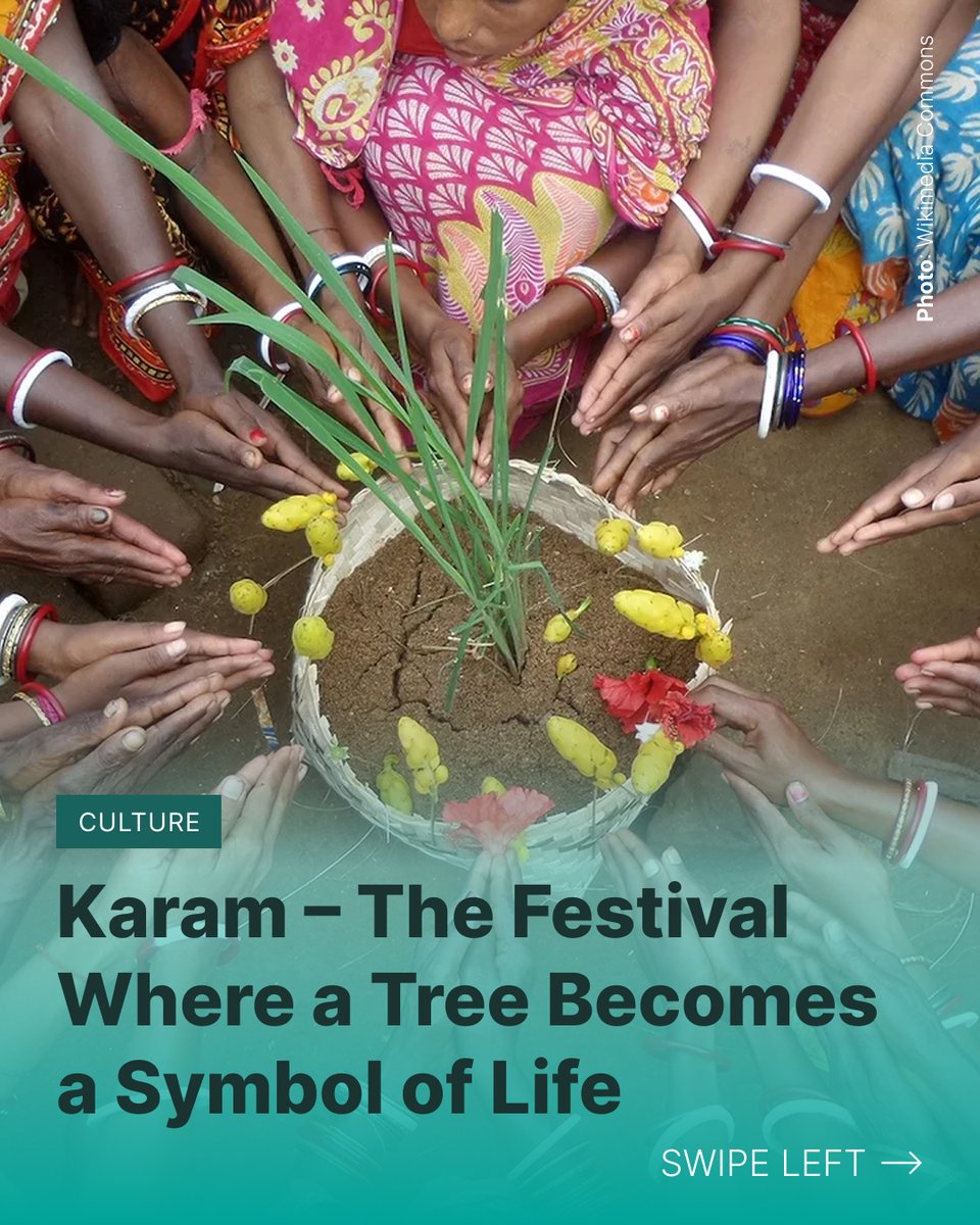 jharwatch's tweet photo. 🌿 Karam: one festival, many traditions

Karam is one of Jharkhand’s important festivals. But there is no single, uniform “Karam tradition.”

Across communities, its rituals, stories, songs, and meanings can take different forms. https://t.co/a8YiryxBZk