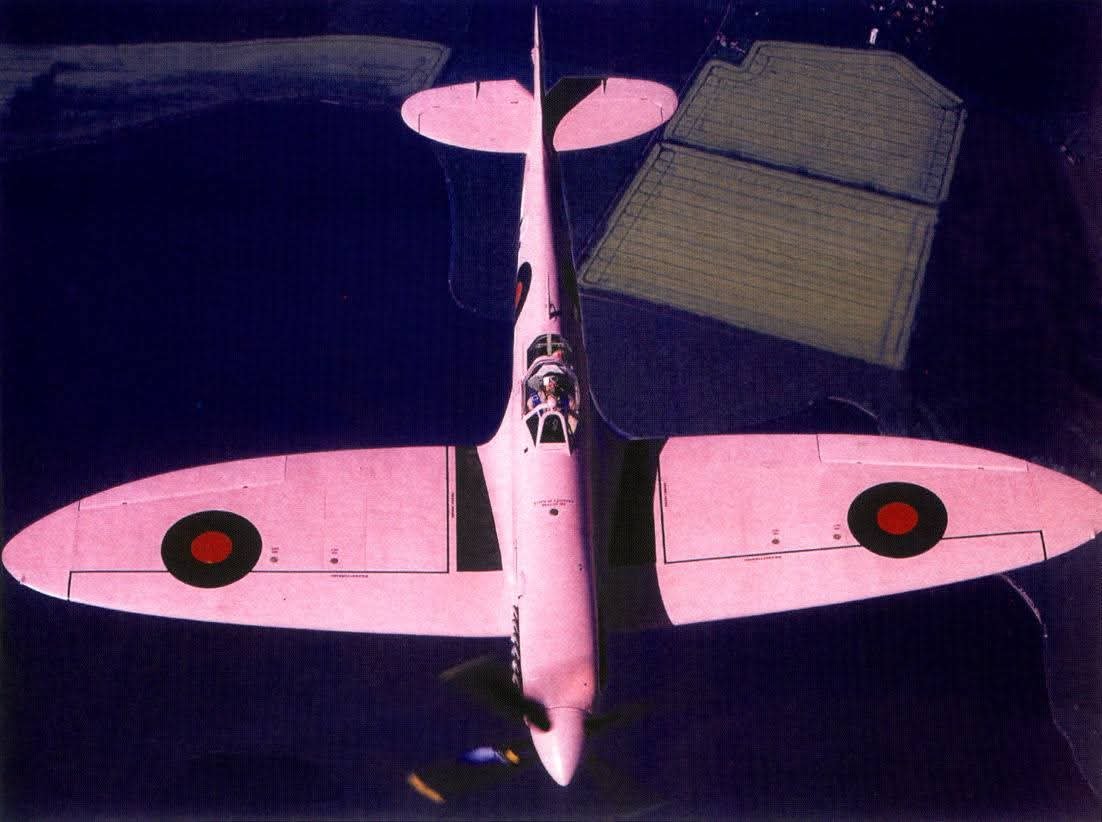RealAirPower1's tweet photo. I honestly thought someone had gone wild with Photoshop the first time I saw this 😁 Nope. During WWII, RAF Spitfires flying photo-recon missions at dusk or dawn were sometimes painted in the groovy “Camoutint Pink” scheme. The pale pink finish was intended to help them blend into the sky during low-level missions. A pink Spitfire. And somehow, it made perfect sense.