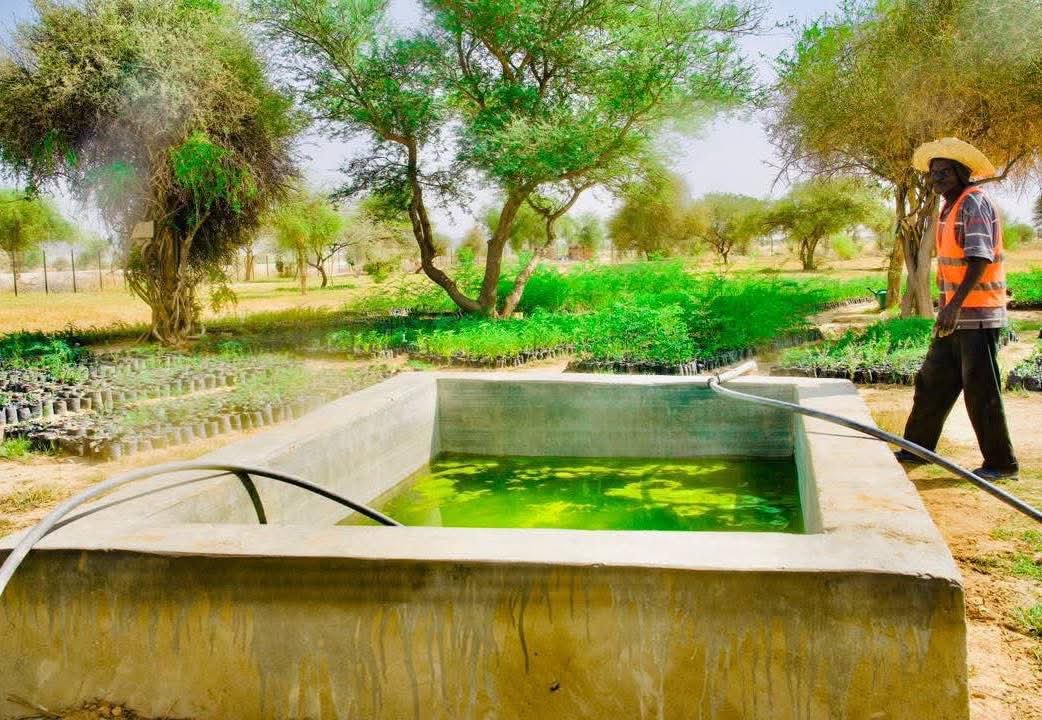 OumarSalehh's tweet photo. حاجة كويسة لما مشاريع البيئة يكون فيها متابعة حقيقية 🌿
بعثة مشتركة زارت وداي ووداي فيرا لتقييم نتائج مشروع ALBIA ومتابعة الأنشطة الجارية والتحضير للانتقال لمشروع PASER
إن شاء الله المشاريع دي تحقق فائدة حقيقية للناس والبيئة في المناطق دي ❤️
#وداي #وداي_فيرا #تشاد https://t.co/eS6fs6ahRT