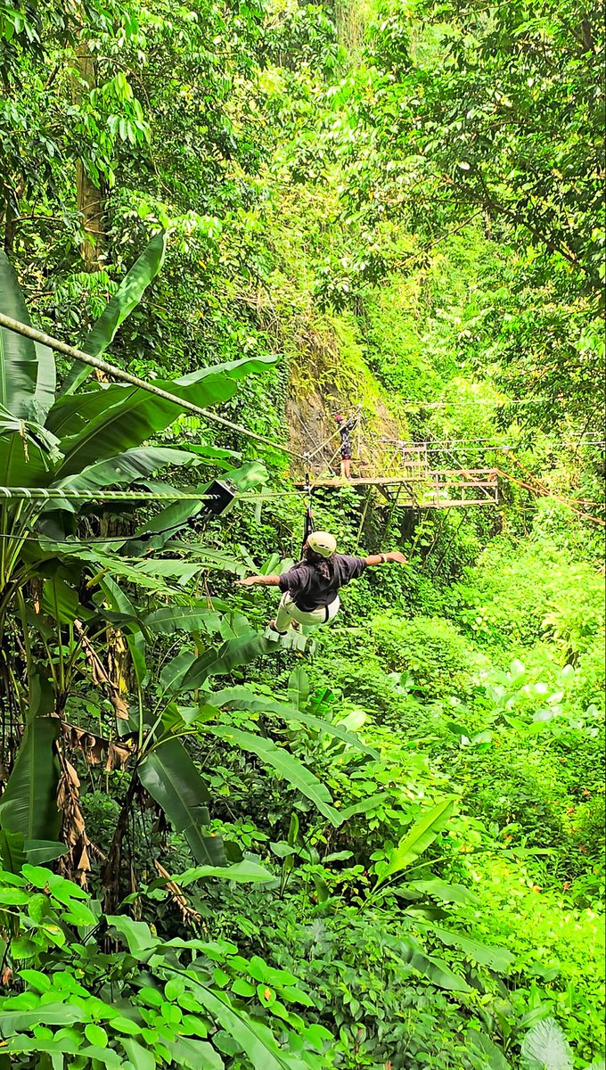 celiiimar's tweet photo. Another adventure checked off the bucket list. Ziplining through El Yunque was scary at first, but ended up being one of the most fun experiences of the trip! https://t.co/msmyefjj5X