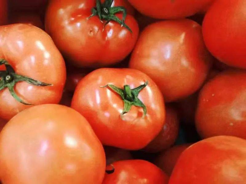 MarquettaDbea0's tweet photo. Tried the fresh organic cherry tomatoes from local farm—bursting with juicy sweetness, no weird aftertastes! Perfect for salads or snacking. https://t.co/FUrigikpL0