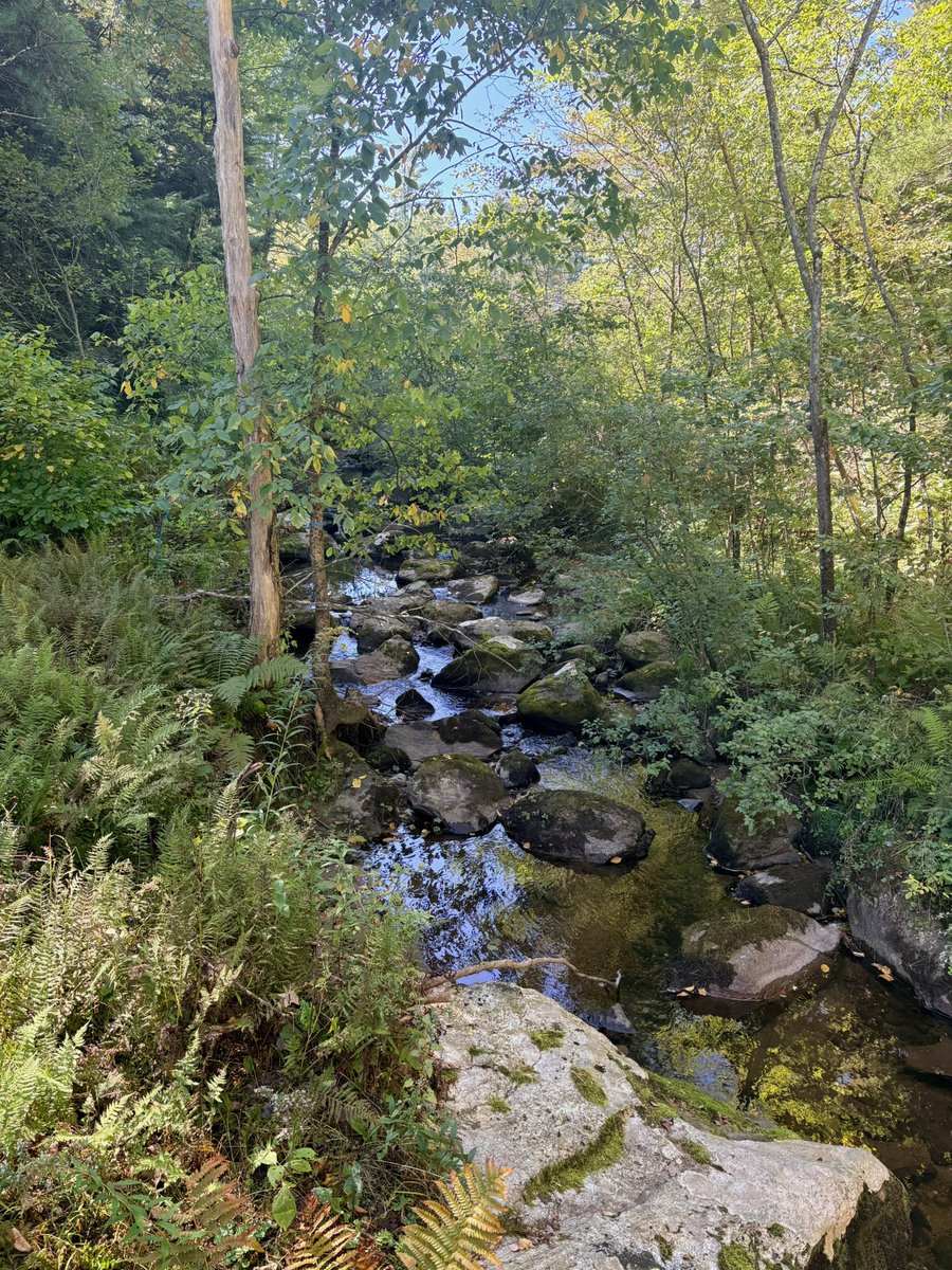 LSBofEBB's tweet photo. Well, todays hike landed me on my face when I stepped on my own shoestring, leaving me with a chewed up lip & chin (inside and out). Not to worry, not enough bad for a trip to an ER, but it definitely put a damper on the last couple of miles
#iphonepic #berkshires #hiking https://t.co/0Cpe2ic4nU