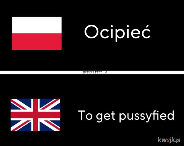 Kerwinioo's tweet photo. Polski język jest piękny 💪 https://t.co/5Drr4Mqchb