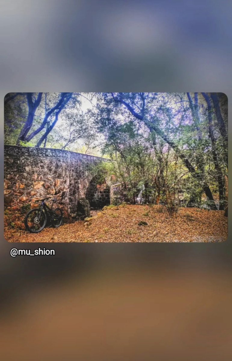 MuShionR's tweet photo. 🚵🏽‍♂️... "Cuando una parte del todo cae, lo demás no está seguro" 😶‍🌫️ (Séneca)

#MTB_Jilotepec #trekbikesmexico #garminmexico #ciclismo #naturephotography https://t.co/RcXxWdpzRo
