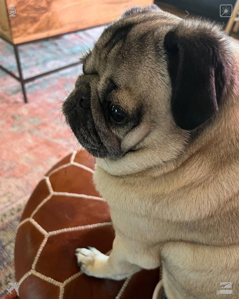 Victor_Supa_B's tweet photo. Keep being brave in all situations.Lola nodded, smiling. “I’d love to. I’ve never been to a concert at a record store—sounds like fun. And I’ll bring my phone, of course, to take more selfies.” https://t.co/J7uj6miWv4