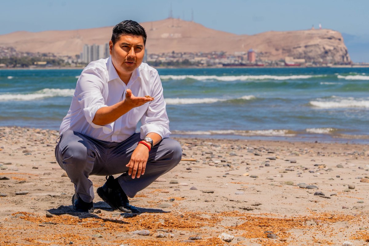 GoreAyP's tweet photo. 🚨 El Gobernador Diego Paco emplaza a Salud, Medio Ambiente y Sernapesca a investigar y transparentar urgente la eventual contaminación en Playa Las Machas de Arica. No podemos poner en riesgo la salud y el turismo de nuestra región. 🌊🔬

👉 Más info en: https://t.co/vNs2PryUst https://t.co/aU2GZ1BeXP