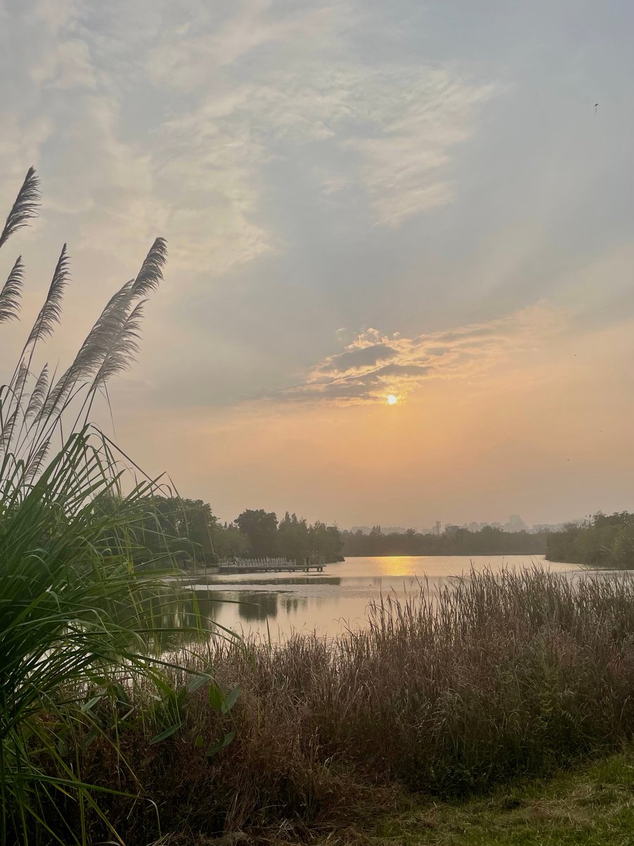 Frederickafm4vh's tweet photo. Just finished a long run, sitting by the lake at sunset—wind in my hair, a little tired but my heart feels so light. https://t.co/O9zDKTD3vy