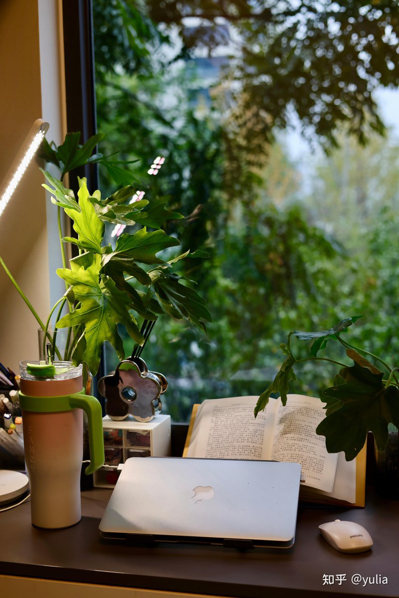 FelicitasSpgsw's tweet photo. Transform your workspace with a small plant, a notebook, and a warm lamp—focus mode on, productivity just got cozier. https://t.co/fv0p7md36h