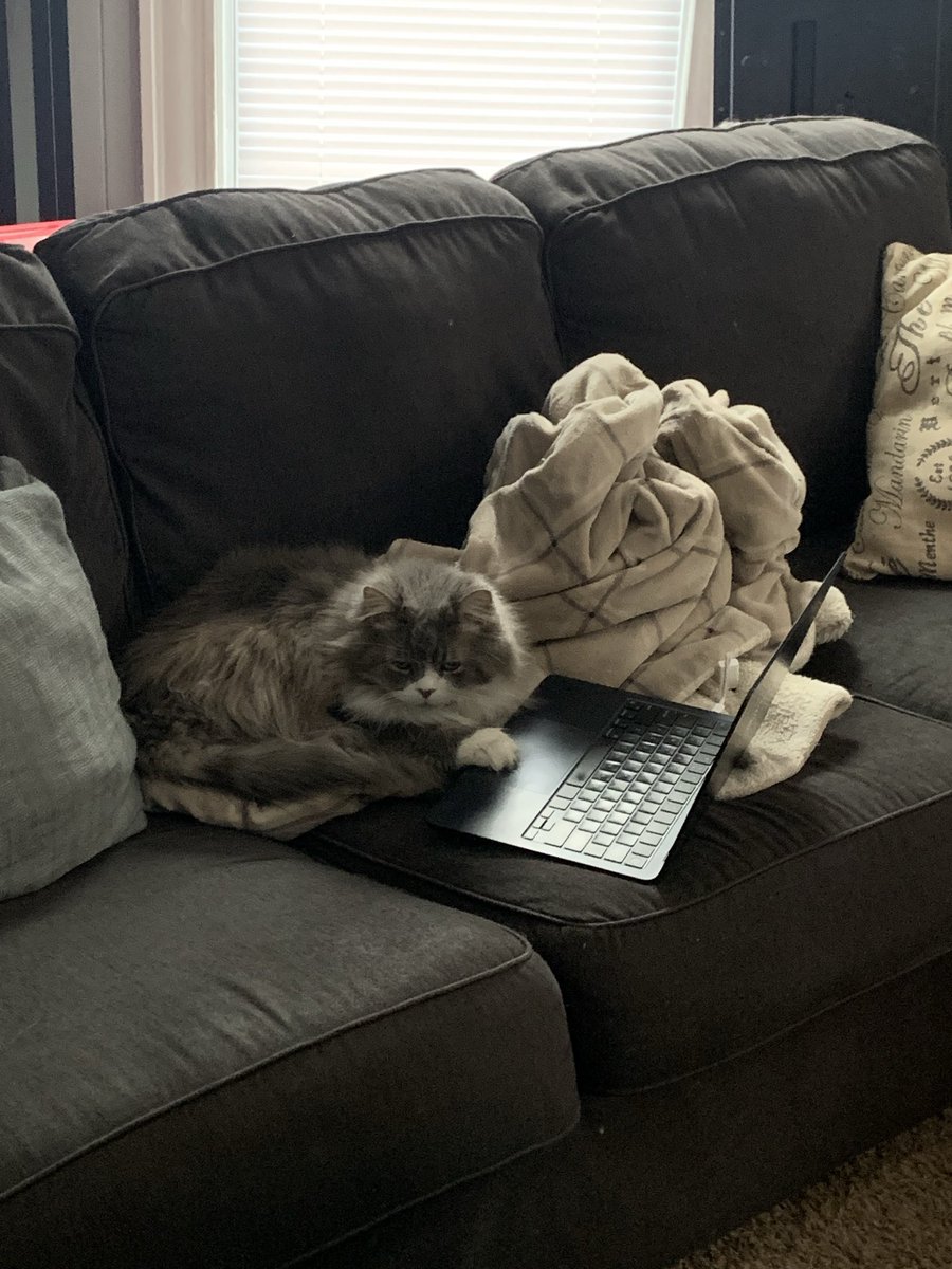 IAmKyleU's tweet photo. @MitchJonez Pig has been locked in! https://t.co/ubhYSJpExs
