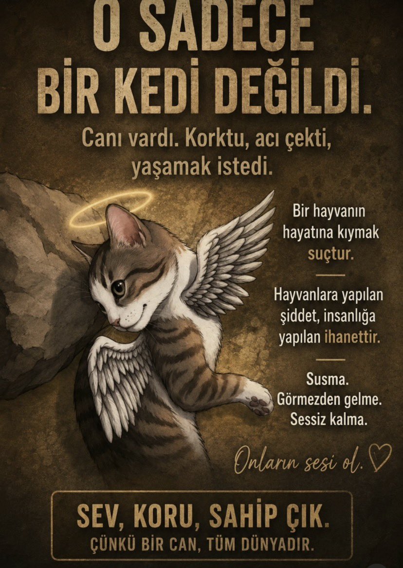CrazyDaisyMls's tweet photo. Hayvana şiddet suçtur. Cezası da emsal niteliğinde olmalıdır! 

#30GündürKatillerAramızda https://t.co/hTTe7SFyIB