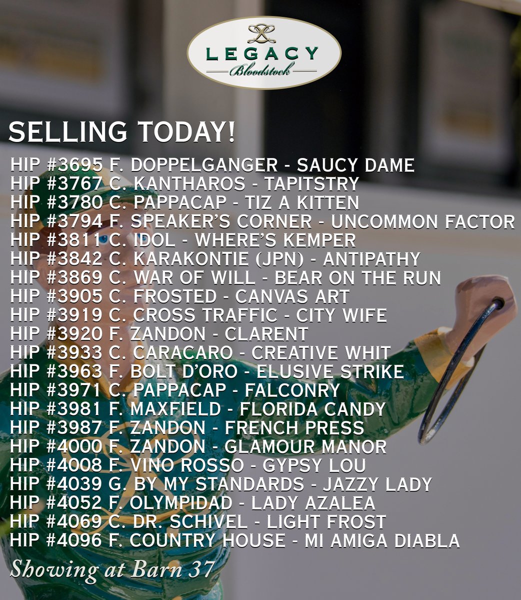 legacybloodstoc's tweet photo. LAST CALL!
🟨 🟩
Our final group of 2026 Keeneland September #LegacyBuilders 🏇🏆 goes through the ring today!
📰 &amp; 🎥 - https://t.co/J9FZLG52pP
👀 Barn 37 https://t.co/E9Gitz1Eu8