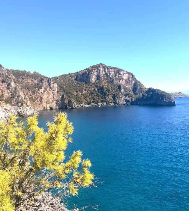 ThymeMFC's tweet photo. I just received a contribution towards Italy Travel Support 💚🤍❤️ from trminator85 via Throne. Thank you! https://t.co/4YAHsS3uk9 #Wishlist #Throne https://t.co/7qhkOtEJzn