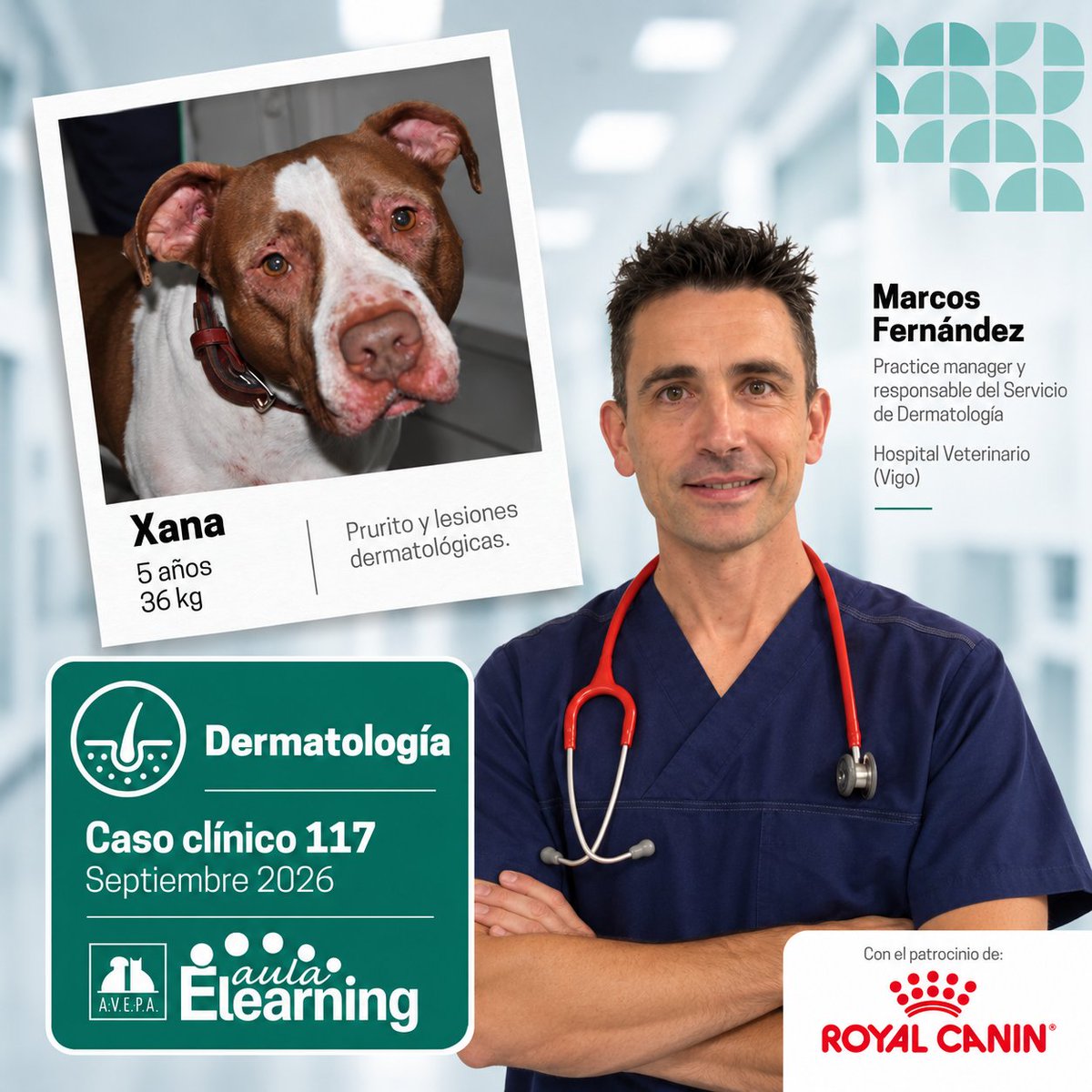 AVEPA_vet's tweet photo. #Pruritocrónico y lesiones dermatológicas que no responden como antes al tratamiento. ¿Qué diagnósticos diferenciales plantearías?
Nuevo #casoclínico de #DermatologíaVeterinaria en #AVEPAElearning , con Marcos Fernández.
https://t.co/yn1JpYpAVw
#veterinaria https://t.co/2Qgfb1qe1S