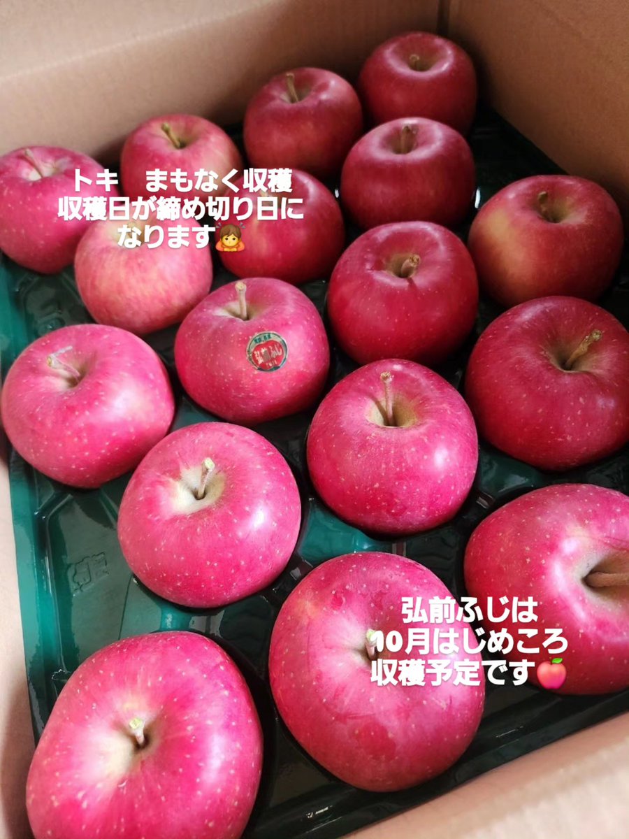 AmazingApp40969's tweet photo. #なかた農園
#アメイジングアップル
#ふるさと納税
#青森県
#りんご販売 https://t.co/U2xap6Nzsx