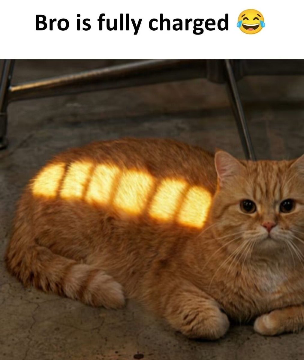WholesomeMeme's tweet photo. https://t.co/KrEaJ4eSfQ