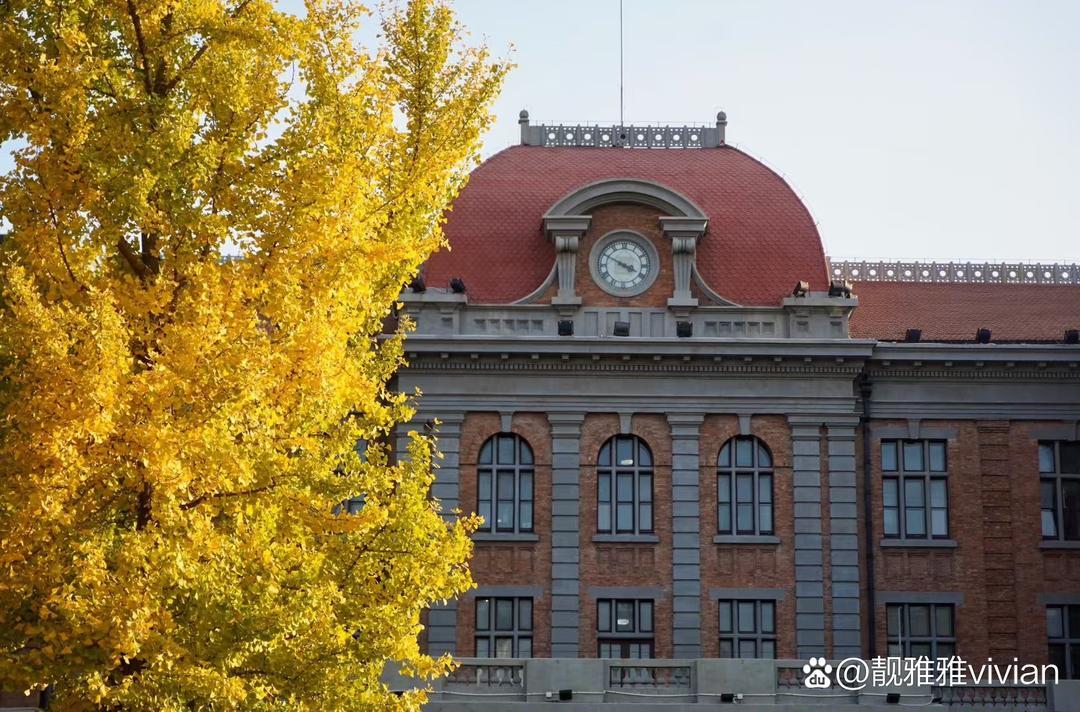 ClintonRehbet's tweet photo. Golden autumn afternoons hit different—crisp air, sun warm on your shoulders, and that first hint of cinnamon in the air. Perfect for a walk with a hot latte!， https://t.co/STMmvfaUyz