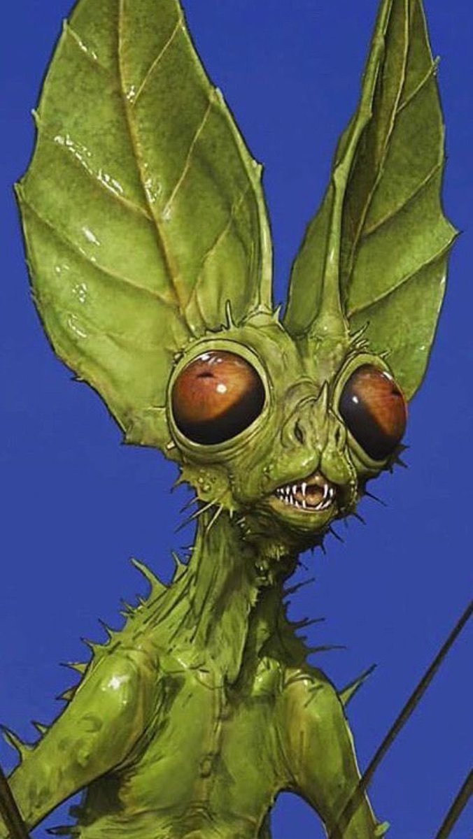 televvangelissm's tweet photo. @demuredavid Mind you bug eyes this is you. Get your stinky ssa off the counters and do something with your life https://t.co/bYAm5OTgdu