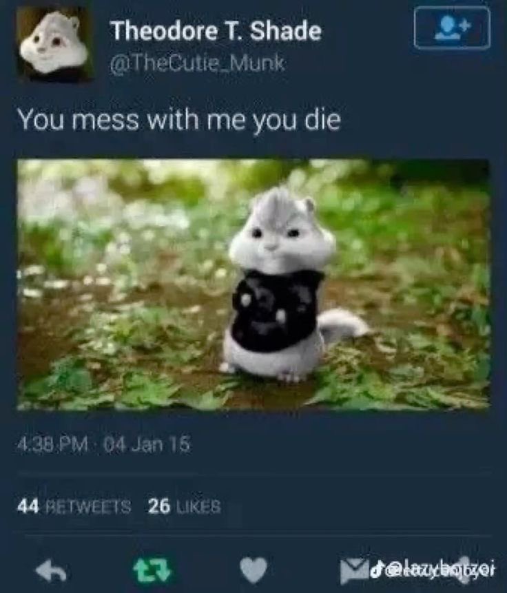 aIiceAsylum's tweet photo. @uunisloth @cheskippy I Will Fight Over Her dont even play https://t.co/vSIq1xDdhE