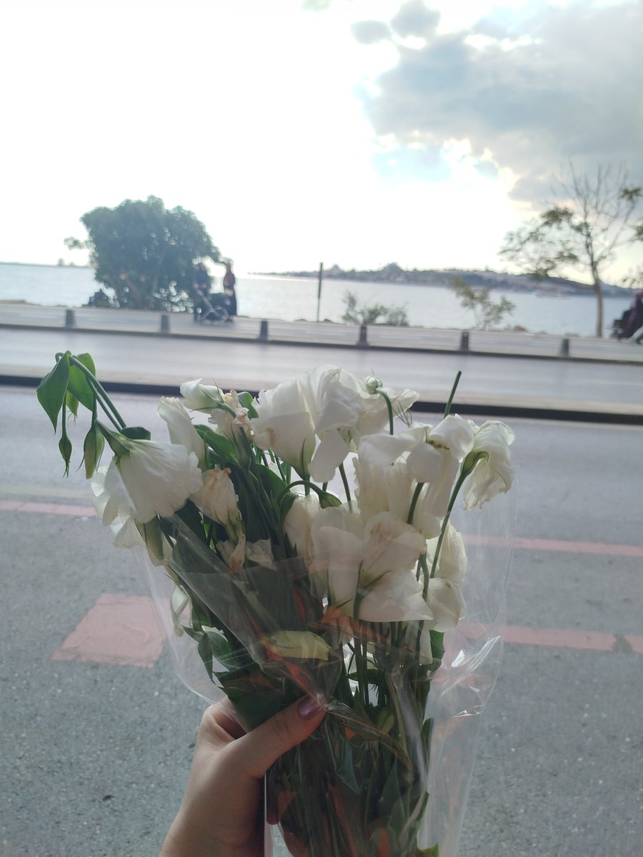 1muinteoir_'s tweet photo. Hayatımda en yoğun çiçek aldığım  dönemdeyim 😄🫠💐 https://t.co/PG4pzuVjsR