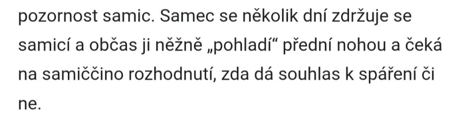 OskarTybe's tweet photo. Ale muzi to proste maji dany prirodou, oni za to nemuzou! 

Mezitim aligator: https://t.co/52AY23HBLN