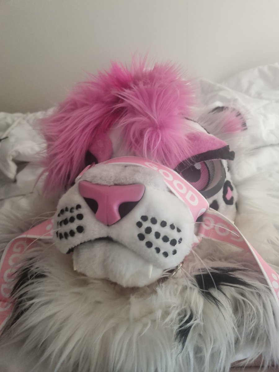 DawnSnowmeow's tweet photo. Actually this years furfloat was the best i've had so far. Got to spend time with my closest friends and party and dance a bunch. I couldn't have asked for more. Thank you everyone who took part of it and cya next year! ❤️❤️❤️❤️❤️ https://t.co/xyNH2bHYbM