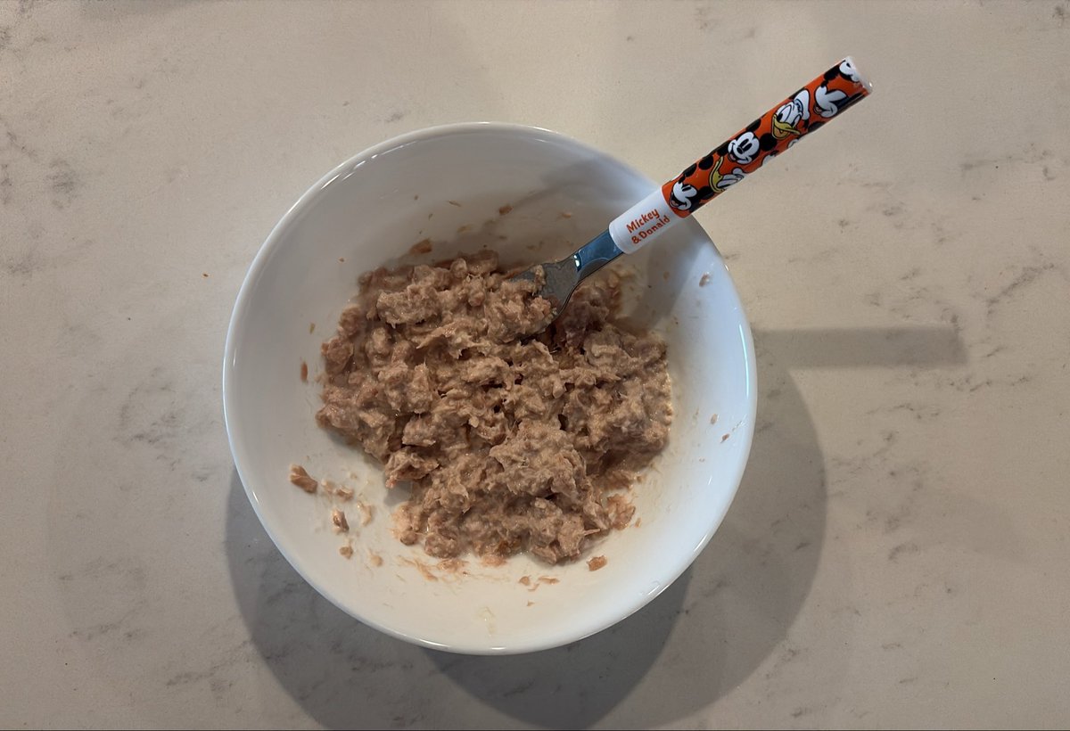 rustnpixiedust's tweet photo. Eating my slop https://t.co/74WZ1PVNPw