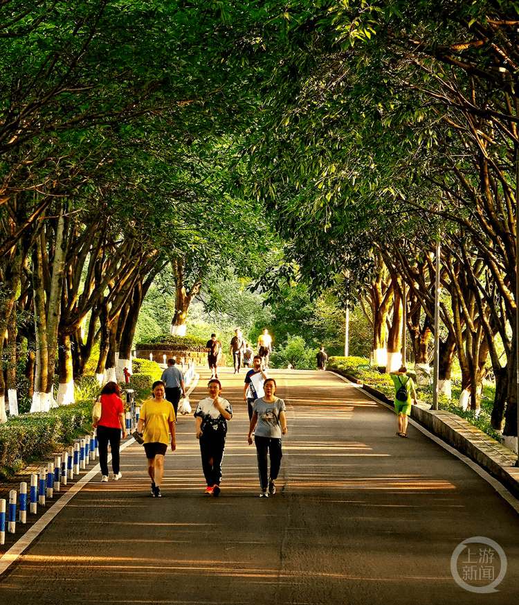 ChristenSpevak's tweet photo. Este fin de semana hace sol y hace mucho calor, ideal para caminar por el parque! https://t.co/tebVFywwtF