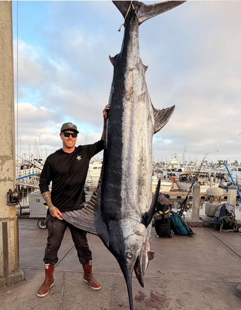 aniisa15_Z's tweet photo. A 648 pound blue marlin hung at Fisherman’s Landing in San Diego yesterday. Will we see a grander in the next month? https://t.co/4Lp6D1ZP9r