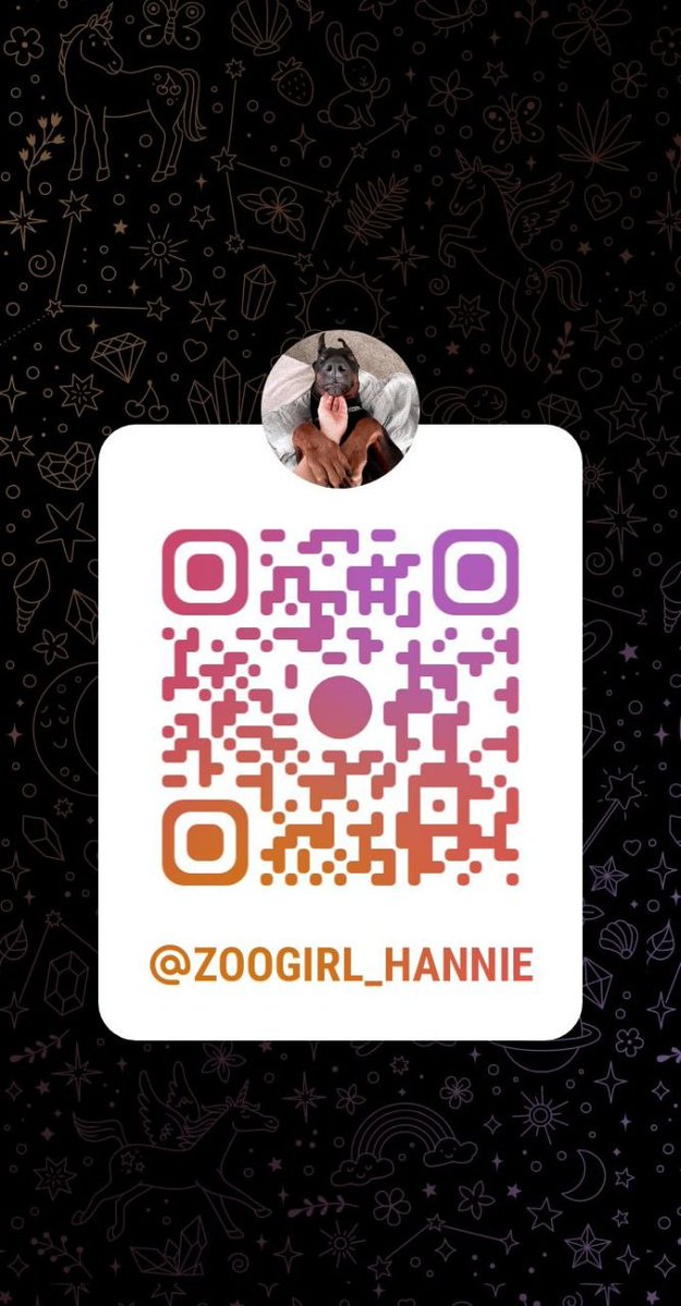 sweet_hannie45's tweet photo. Come satisfy your fantasy as you watch me get knotted by my beast 🐶🐾Curiousity ride to adventures

https://t.co/IMbT0TYo2K

#doglover #dogknotting #dogsex #knotty  #dog #puppy #dogwhore #dogwoman #transgender  #dogwhore #artofzoo #zoocontents #beastiality #taboocontents https://t.co/yasgr866ox