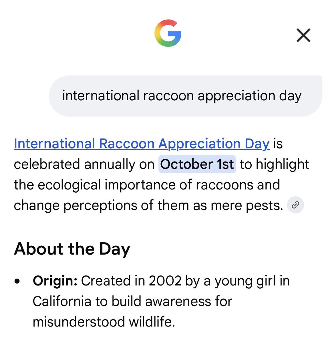 Rip_Flair420's tweet photo. International raccoon appreciation day is in a week and you have @Pumpfun hard shilling $Jimothy 2 days in a row. Trade attention. https://t.co/R0AkOCughf