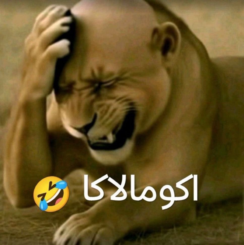Light2lele's tweet photo. @i1htm بصصرخخ https://t.co/pVaWsqbTbb