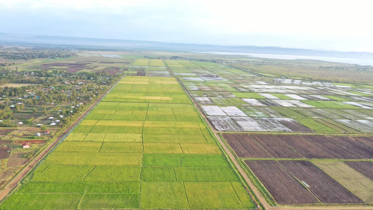 Irrigation_Auth tweet picture